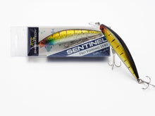 Load image into Gallery viewer, Sentinel Lure Dual Hook - Black Gold
